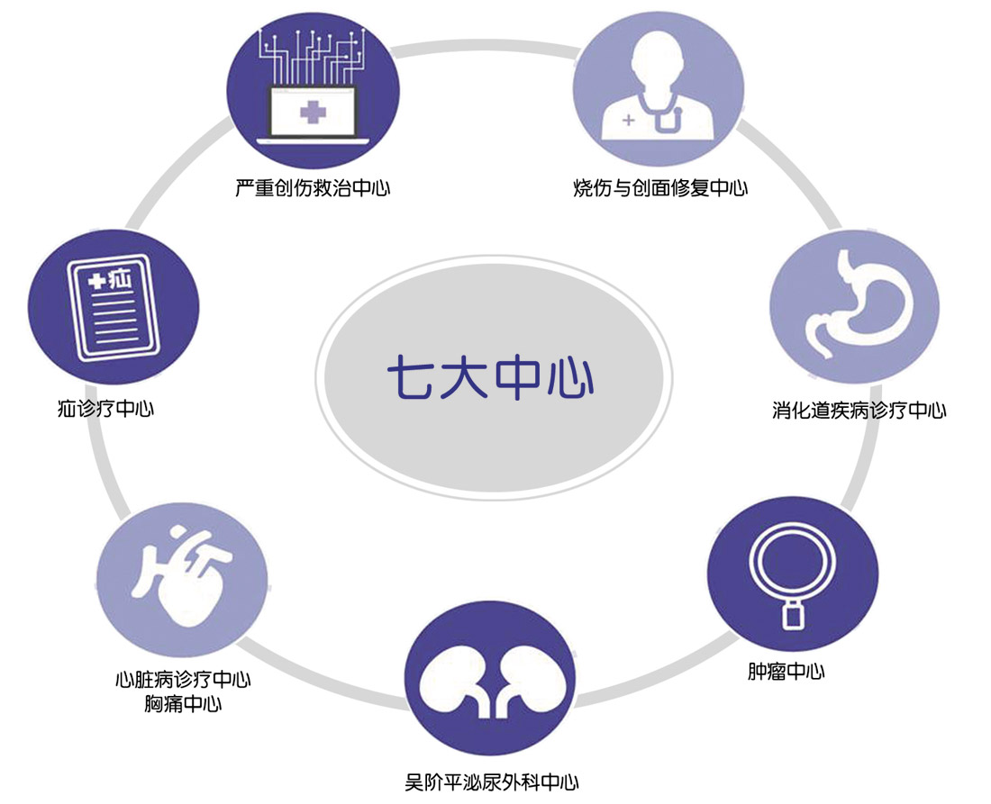 北大医疗七大中心